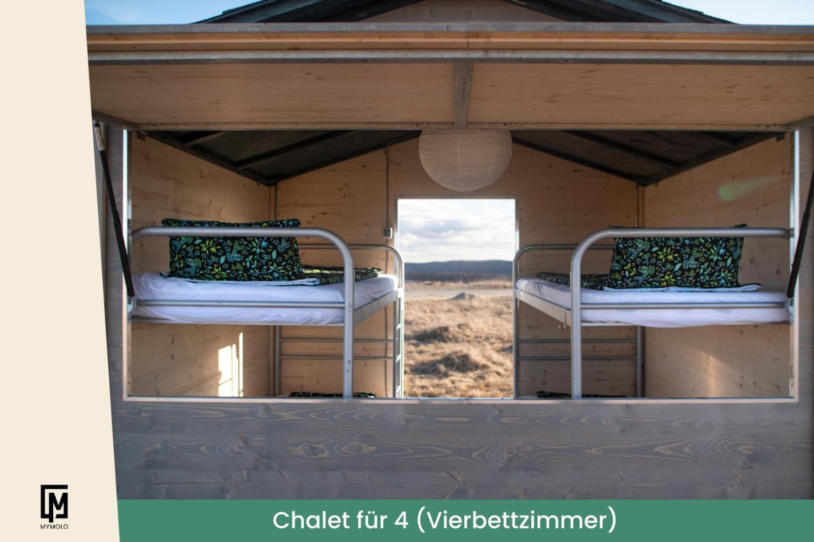 Glamping In Der Zeche Ewald Herten Herten (North Rhine-Westphalia) Exterior foto