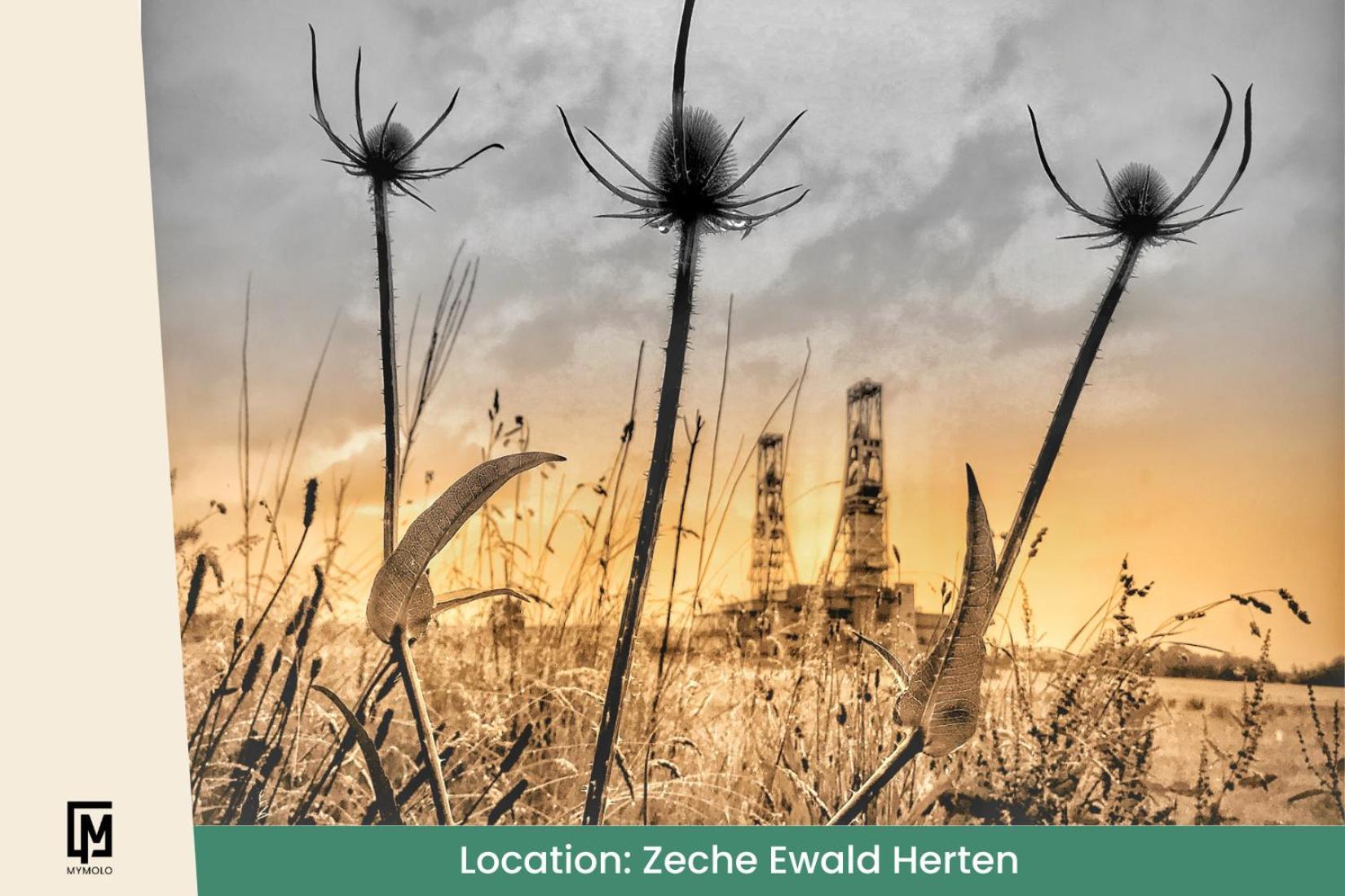 Glamping In Der Zeche Ewald Herten Herten (North Rhine-Westphalia) Exterior foto